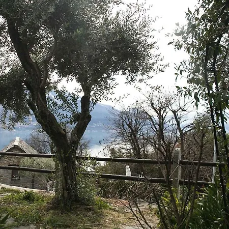 Casa Alma Grotto Appartement *