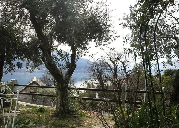 Casa Alma Grotto Lejlighed *